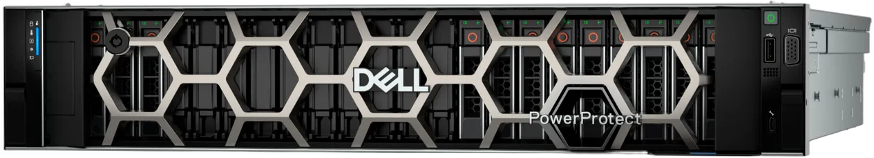 Dell PowerProtect / Data Domain